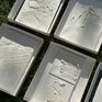 Изображения с текстурными узорами на белых подносах, выставленные на траве в солнечный день - превью 1