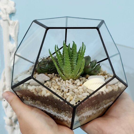 Создание террариума с кактусами в студии художника Создание террариума с кактусами в студии художника