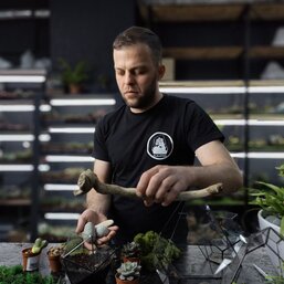 Мастер класс Флорариум 