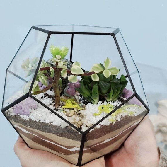 Люди держат террариум с растениями на фоне стены Люди держат террариум с растениями на фоне стены