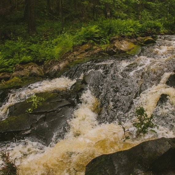 Тур Карельский колорит Рускеала долина водопадов хаски и лисы - изображение 2