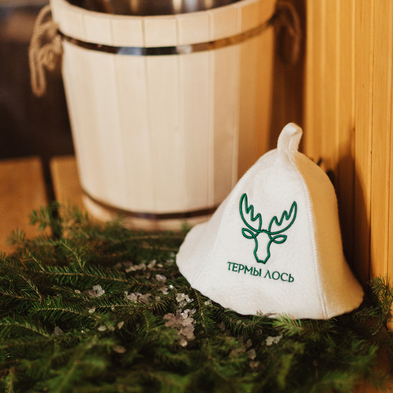 СПА программа Сила пара - изображение 3