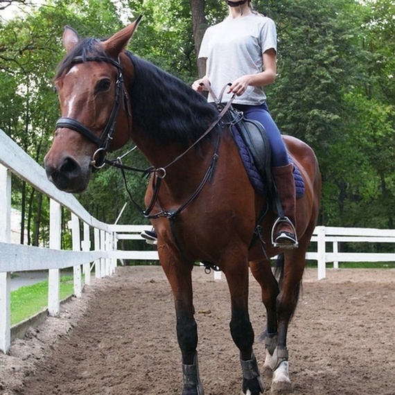 Женщина на лошади в манеже, наслаждающаяся верховой ездой среди зелёных деревьев в солнечный день Женщина на лошади в манеже, наслаждающаяся верховой ездой среди зелёных деревьев в солнечный день