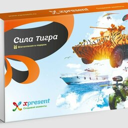 Сила тигра