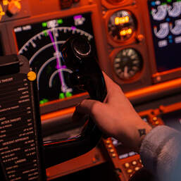 Полет в авиатренажере BOEING 737/Airbus A320