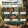 Дальше только лес - Превью 3
