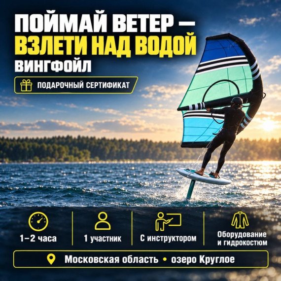 Вингфойл. Инфографика 1