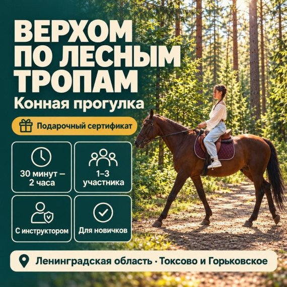 Конная прогулка. Инфографика 1