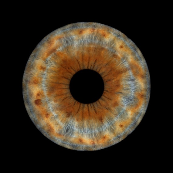 Фотография радужки глаза на холсте  - изображение 3