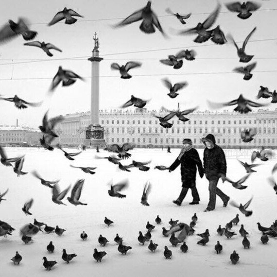 Курс молодого фотографа Петербург в объективе - изображение 3