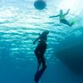 Вводное занятие по фридайвингу  - превью 1