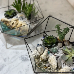 Мастер-класс по созданию флорариума