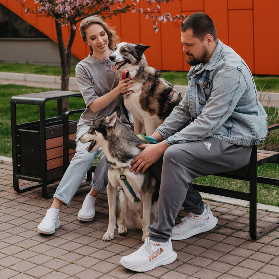 Фотосессия с питомцем - изображение 2