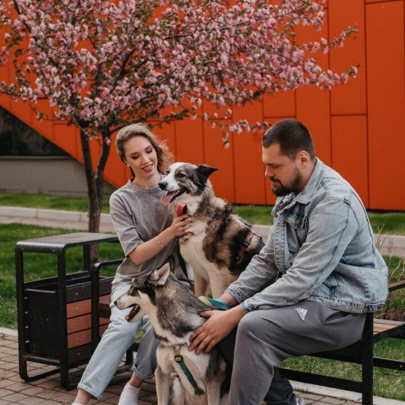 Фотосессия с питомцем - изображение 3