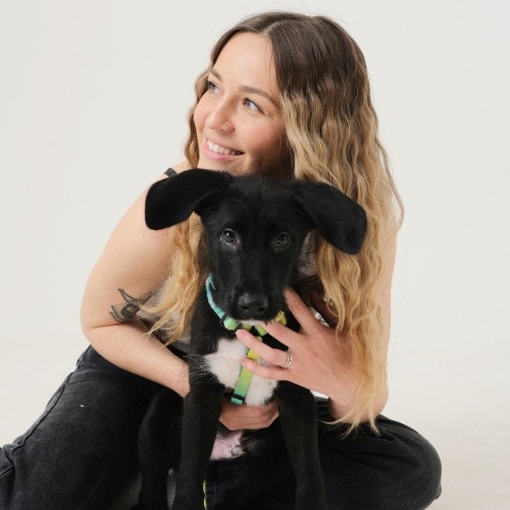 Фотосессия с питомцем - изображение 1 Фотосессия с питомцем - изображение 1