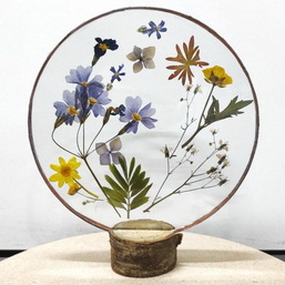 Интерьерный гербарий в стекле