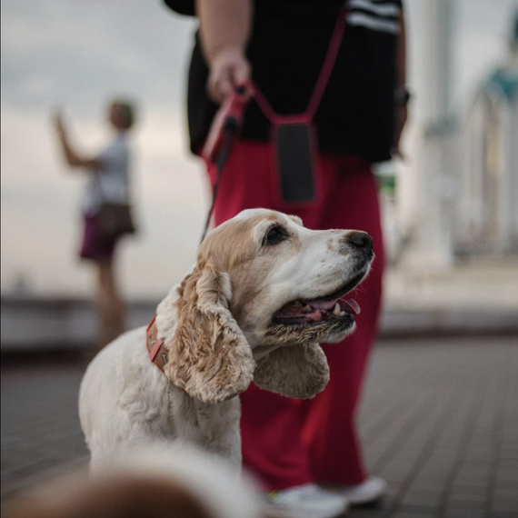 Тайны старого Арбата Прогулка с фотографом - изображение 2