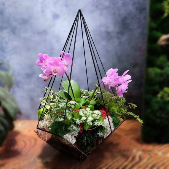 Мастер класс Флорариум с орхидеей - изображение 3