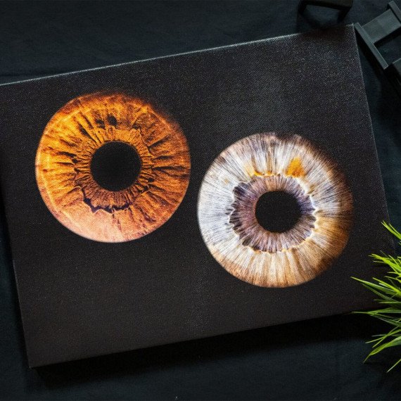 Два глаза на черном фоне с разными цветами радужки. Главное фото