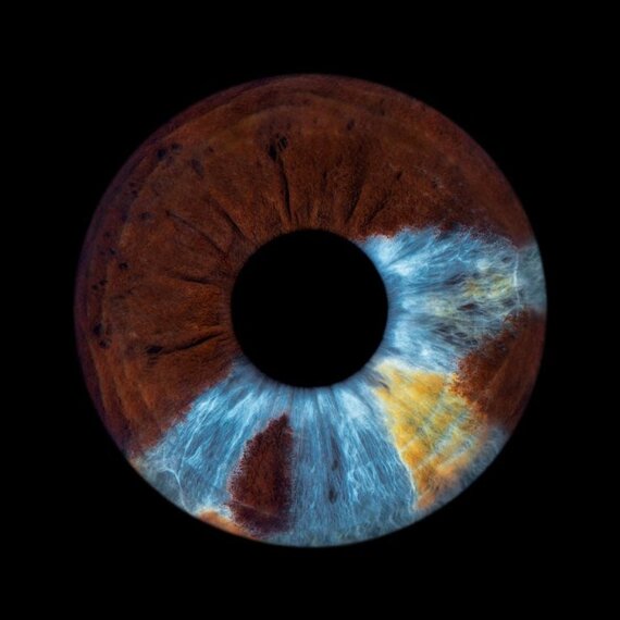 Фотография радужки глаза в электронном виде. Главное фото
