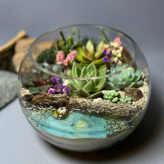 Мастер класс создание флорариума - изображение 5 Мастер класс создание флорариума - изображение 5