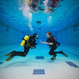 Индивидуальный курс дайвинга PADI Open Water Diver