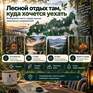 Дальше только лес - Превью 7
