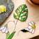 Мастер-класс по витражам «Тиффани» - превью 7