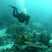 Пробное занятие по курсу дайвинга Open Water Diver NDL