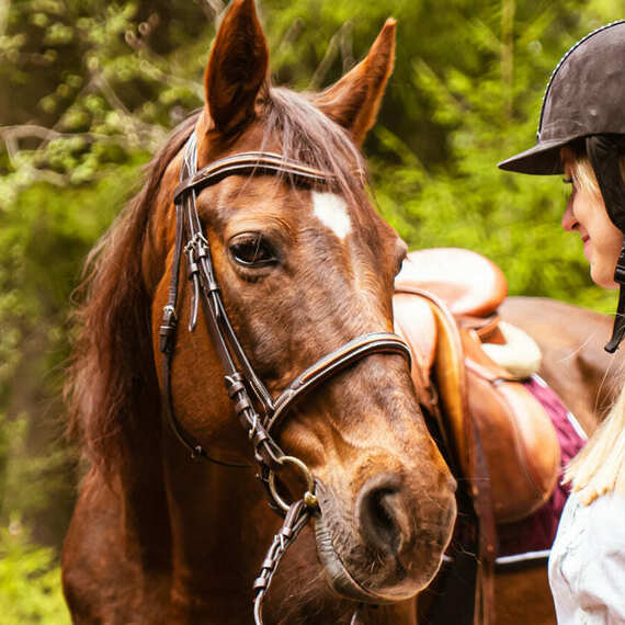 Верховая езда в живописном лесу, молодая женщина общается с лошадью в окружении природы
