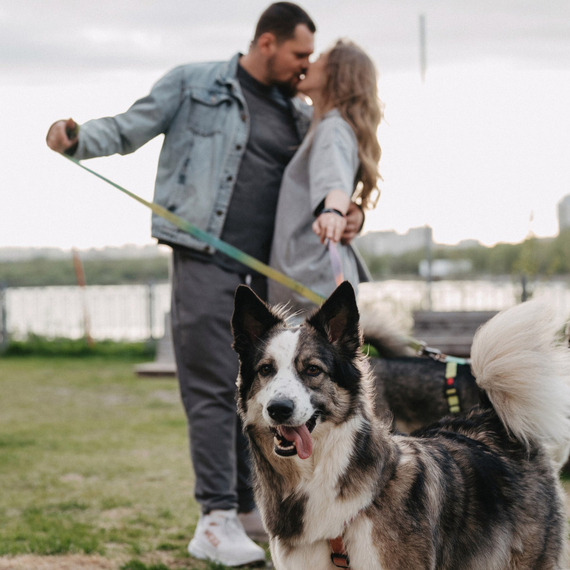 Фотосессия с питомцем - изображение 3