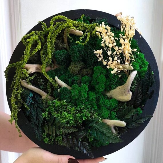 Декоративная композиция из мха и сушеных растений в круглой рамке Декоративная композиция из мха и сушеных растений в круглой рамке
