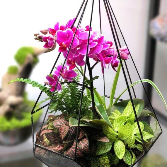 Мастер класс Флорариум с орхидеей - изображение 2