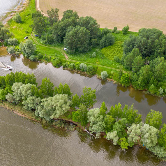Чистая река с зелеными берегами и лодкой в солнечный день в России. Фото 15