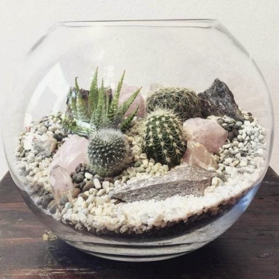 Мастер-класс Создание флорариума - изображение 2