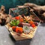 Красивый террариум с суккулентами и мхом в геометрическом контейнере - превью 1