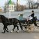 Классическая карета с лошадью в историческом центре города весной на фоне старинной архитектуры - превью 2