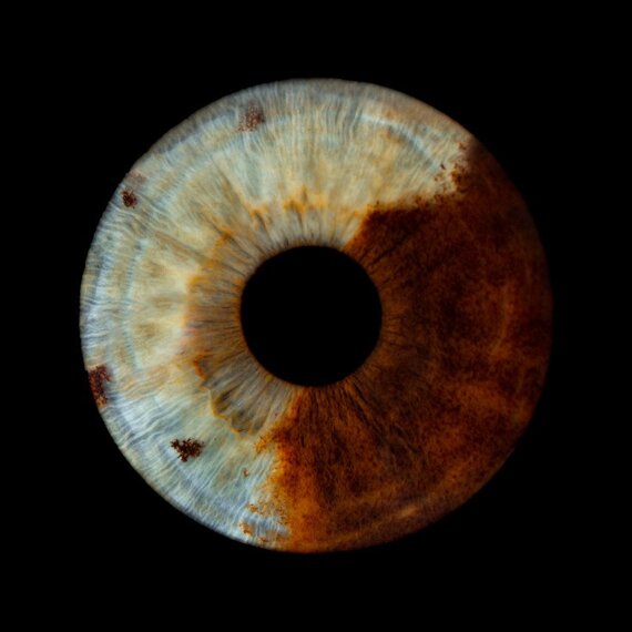 Фотография радужки глаза в электронном виде - изображение 2