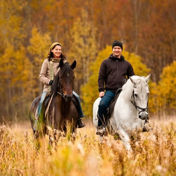 Индивидуальная конная прогулка - изображение 1