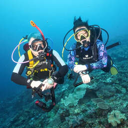 Индивидуальный курс дайвинга PADI Open Water Diver