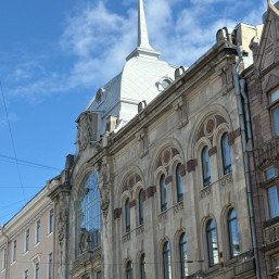 Маршрут по Петербургу: кошачья экскурсия по городу