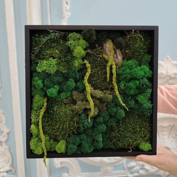 Мостик из мха в черной рамке находится в руках человека в интерьере Мостик из мха в черной рамке находится в руках человека в интерьере