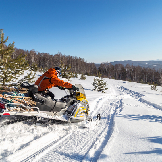 Волшебный бор для двоих на снегоходе. Главное фото