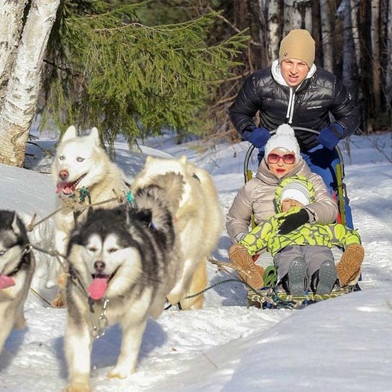 Лыжная прогулка на собачьих упряжках с детьми на зимних склонах в лесу. Фото 13