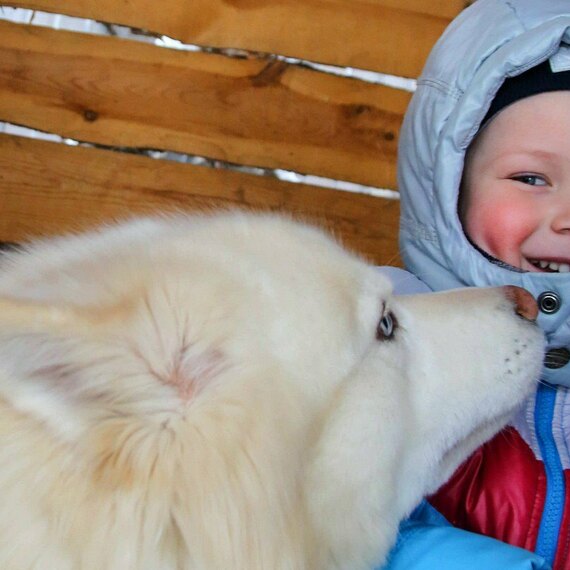 Мальчик с радостью играет с белым шершащим псом на заднем дворе в зимний день. Фото 16