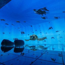 Посещение интерактивного парка развлечений с детьми FunZone