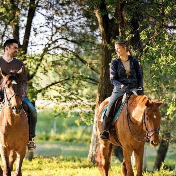 Пара на лошадях прогуливается по лесу в солнечный день. Главное фото