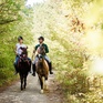 Прогулка верхом на лошадях по зеленой местности в солнечный день - превью 1