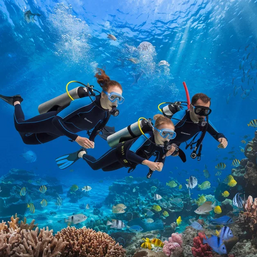 Индивидуальный курс дайвинга PADI Open Water Diver