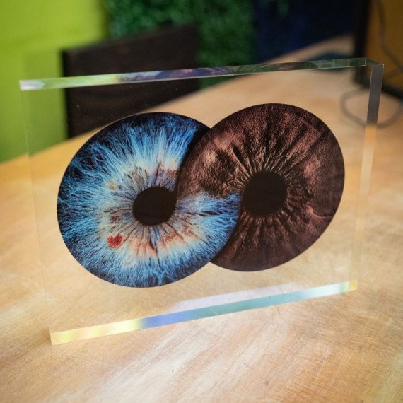 Две радужки глаз в форме инь-янь на столе в офисе. Главное фото